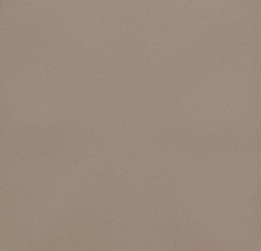 Линолеум Forbo Eternal Colour 40062 umber фото 1 | FLOORDEALER